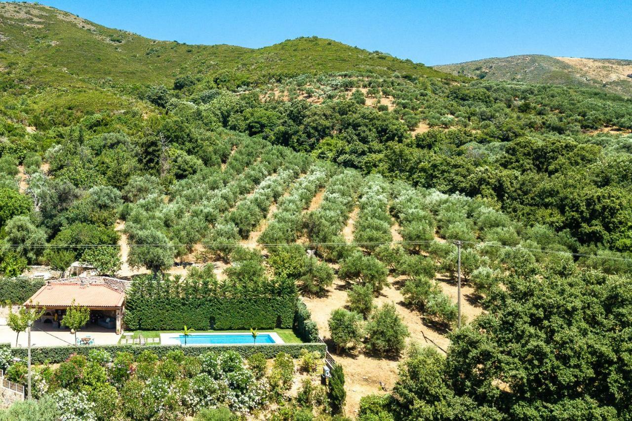 Villa Epimenidis House